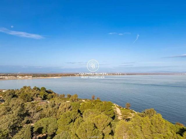 Villa de luxe de 10 pièces en vente Collioure, France