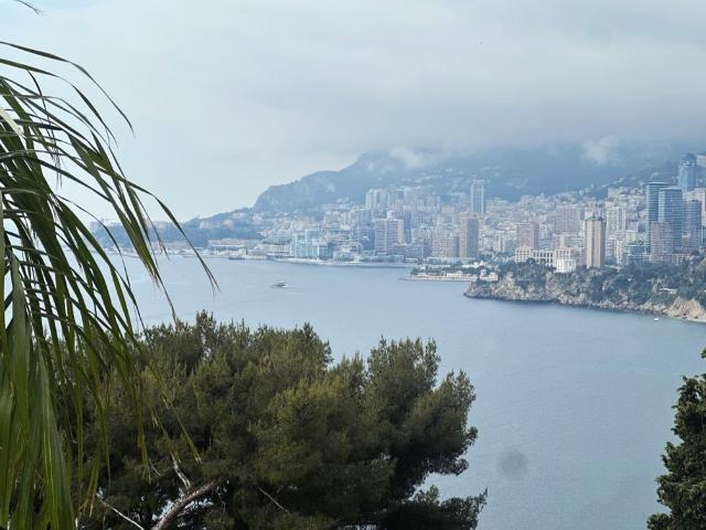 Villa de luxe de 10 pièces en vente Roquebrune, Roquebrune Cap Martin, Alpes Maritimes, Provence Alpes Côte d'Azur