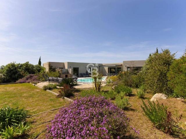 Villa de luxe de 5 pièces en vente Corbara, France