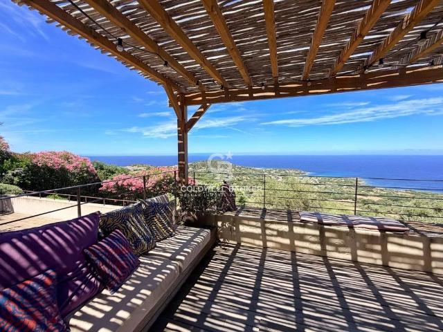 Villa de luxe de 5 pièces en vente Corbara, France