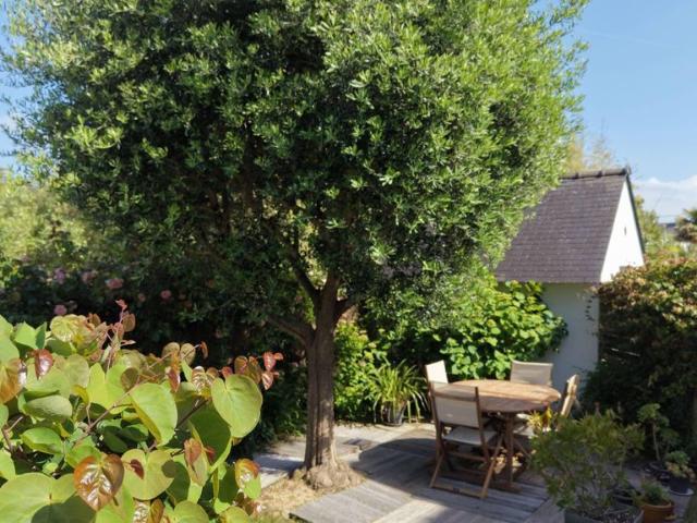 Villa de luxe de 5 pièces en vente Saint Pierre Quiberon, France