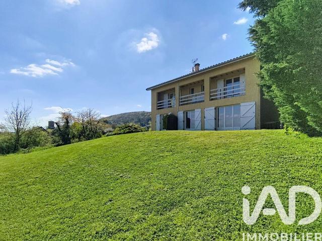 Villa de luxe de 6 pièces en vente Albigny sur Saône, Auvergne Rhône Alpes