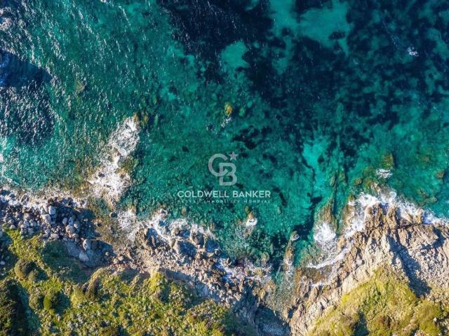 Villa de luxe de 6 pièces en vente Corbara, Corse