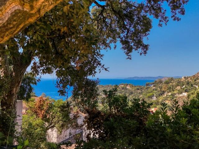 Villa de luxe de 6 pièces en vente Rayol Canadel sur Mer, Provence Alpes Côte d'Azur