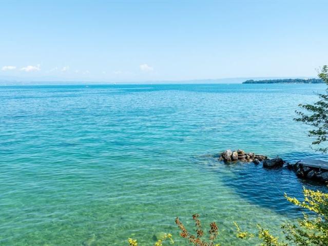 Villa de luxe de 8 pièces en vente Thonon les Bains, France