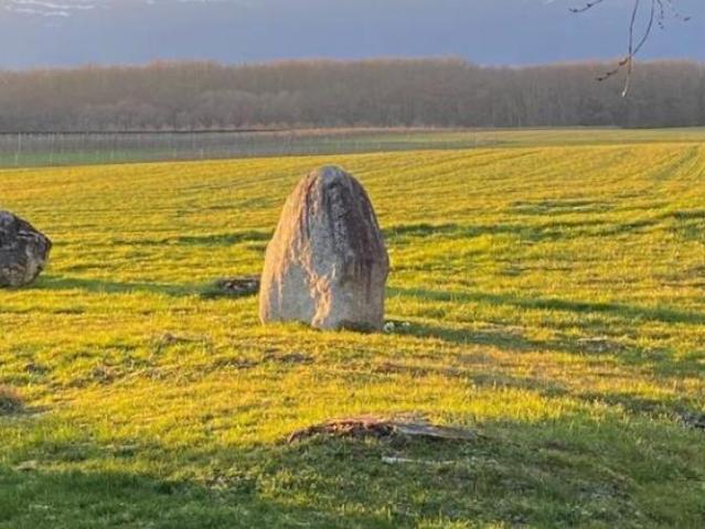Villa de plain pied avec vue dégagée sur la commune de Collex Bossy
