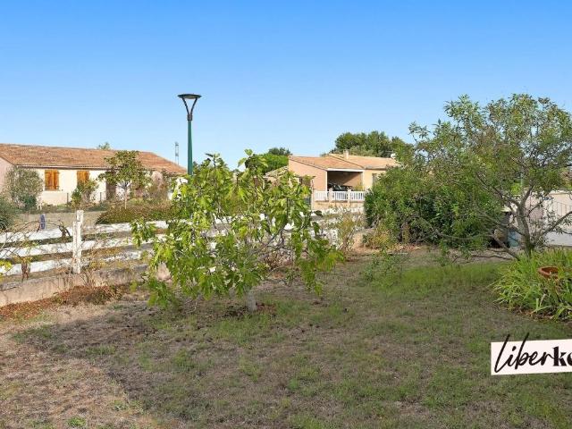 Villa de plain pied, Jardin