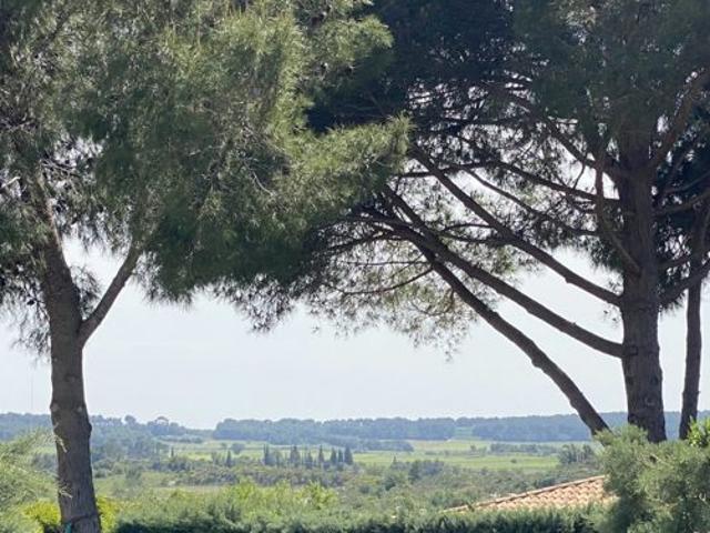 Villa de plain pied sur sous sol avec piscine
