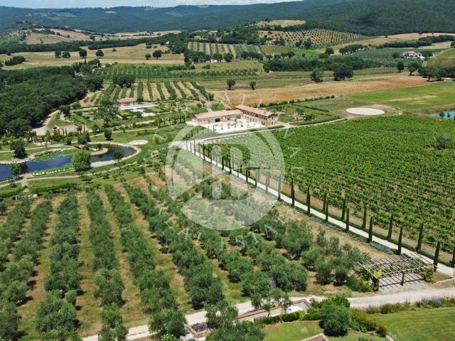 Villa di 2745 mq in vendita Massa Marittima, Toscana