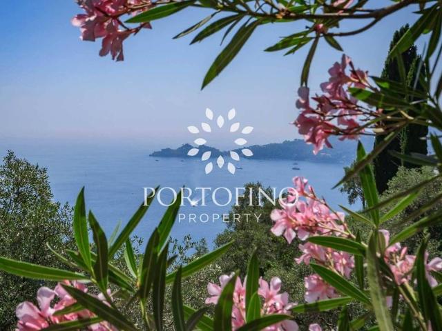 Villa di 300 mq in vendita Via Cornice Sant'Ambrogio, Zoagli, Genova, Liguria