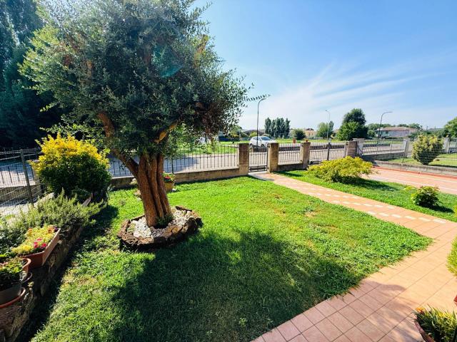 Villa di Testa in vendita a Borgo Mantovano