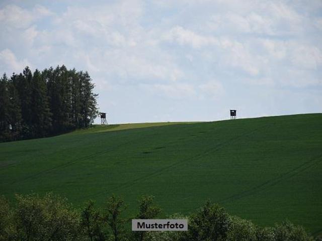Villa Döbra Döbra 105459246