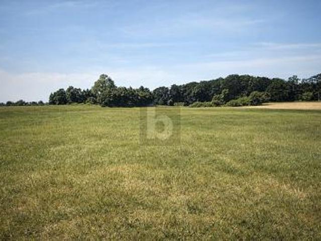 Villa Dreschvitz Dreschvitz 105704887