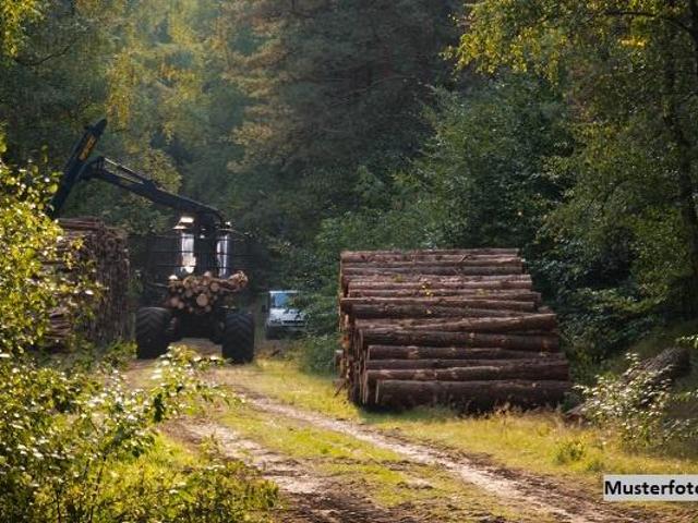Villa Echem Echem 105567937