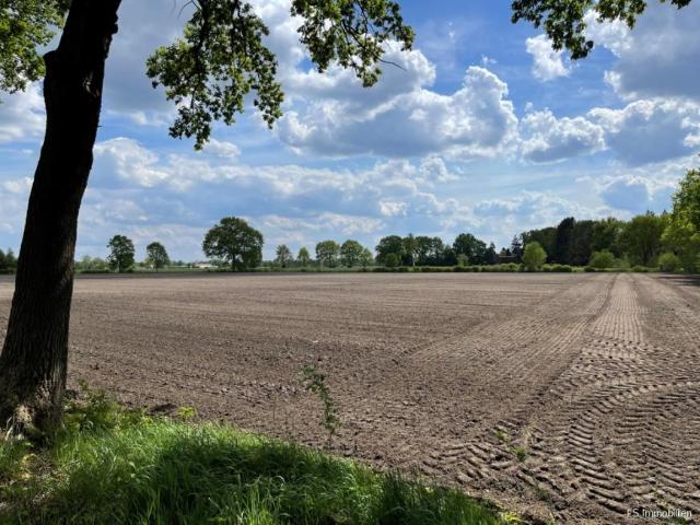 Villa Edewecht Edewecht 105448755