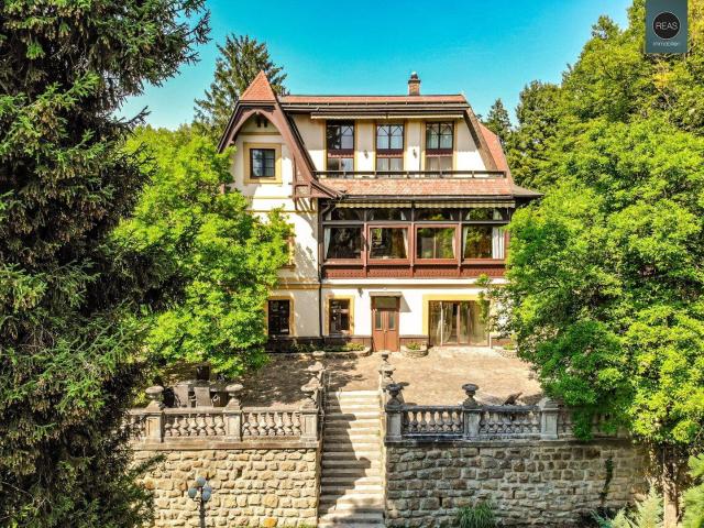 Villa Elfi: Klassische Sommerfrische Villa mit Traumgrundstück in Tullnerbach Lawies!