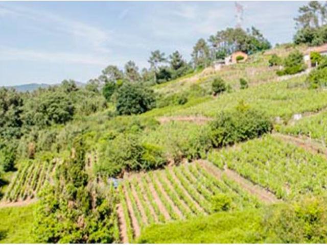 Villa en Venta en Castrelo de Miño, Orense