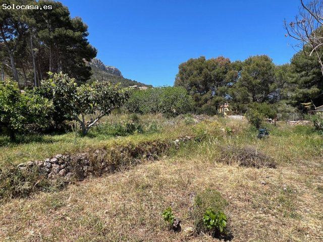 Villa en Venta en Novelda, Alicante