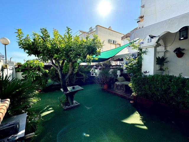 Villa en alquiler en Torrevieja Alicante