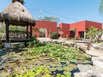 Chicxulub Pueblo, Yucatan - Aire acondicionado