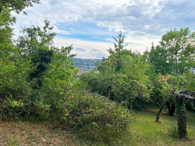 Villa Esslingen Am Neckar Esslingen Am Neckar 105860885