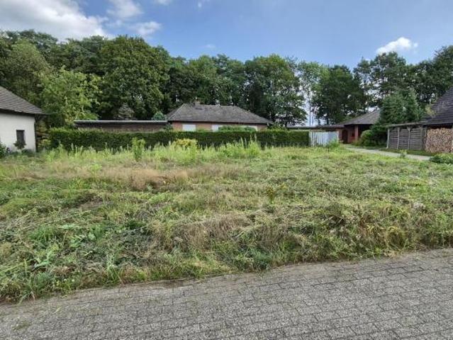Villa Faßberg Faßberg 105810541