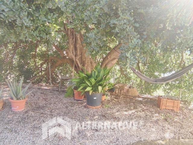 Villa for rent in Arenas, Málaga
