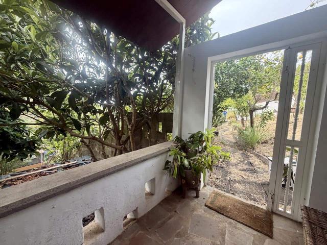 Villa for rent in Firgas, Gran Canaria
