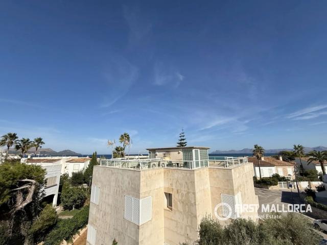 Villa for rent in Playas de Muro / Platges de Muro, Muro, Mallorca