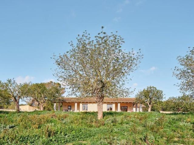 Villa for rent in Randa, Algaida, Mallorca