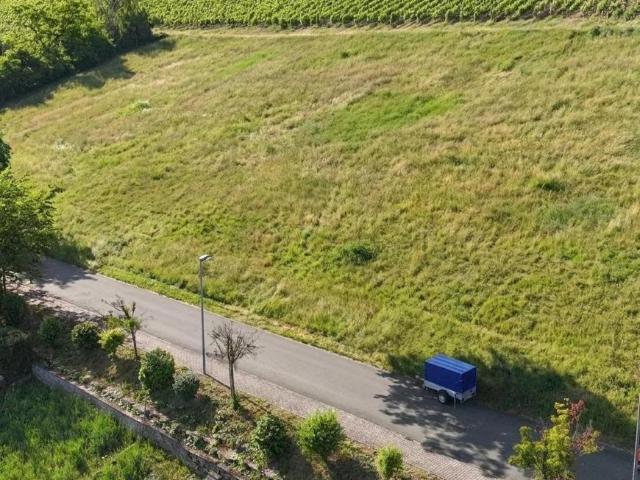 Villa Frickenhausen Frickenhausen 105757793