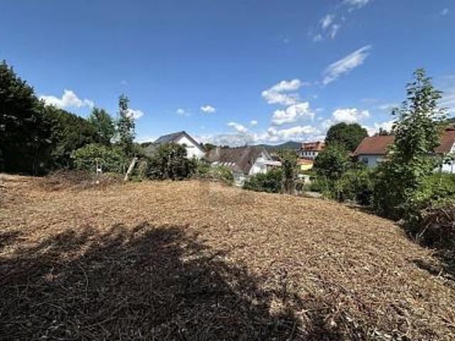 Villa Friesenheim Friesenheim 105783044