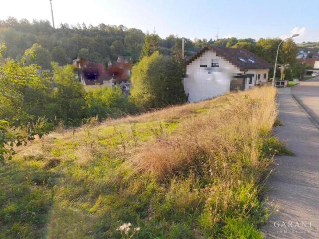 Villa Haiterbach Haiterbach LS105464685