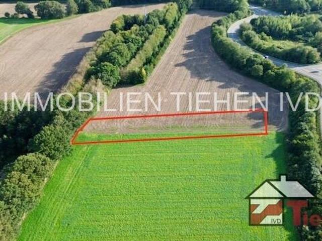 Villa Haselünne Haselünne 105744798