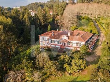 VILLA HISTÓRICA EM QUINTA ÁGUEDA A 1H DO AEROPORTO DO PORTO