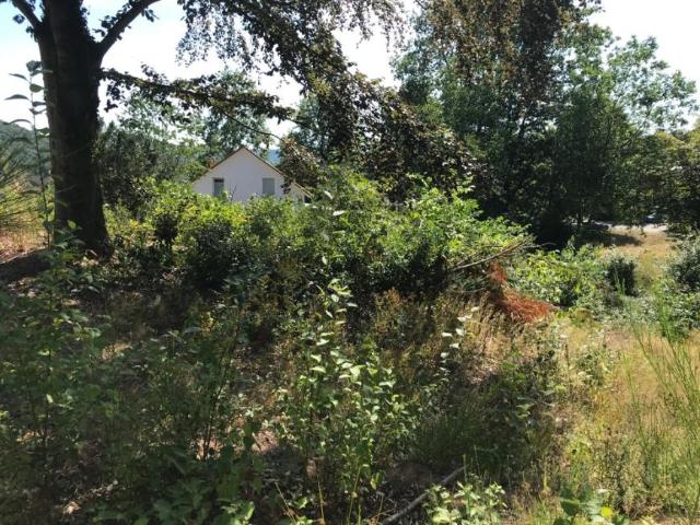 Villa Homburg Homburg 105444789
