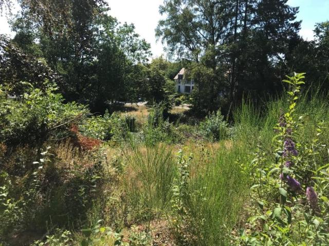 Villa Homburg Homburg 105444801