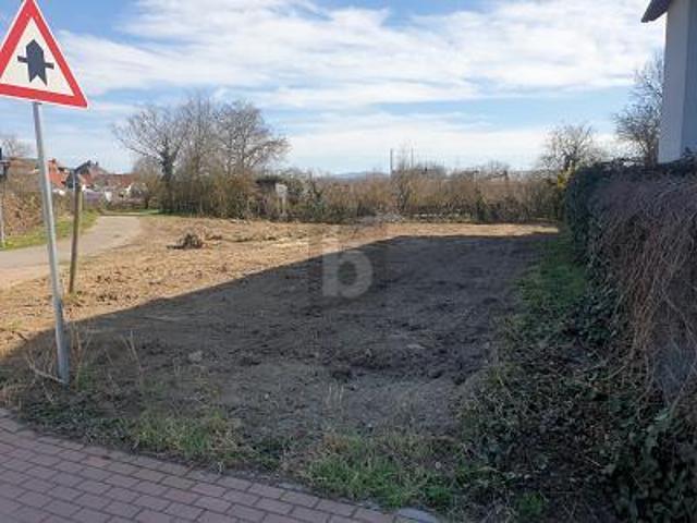 Villa Ihringen Ihringen 105554798