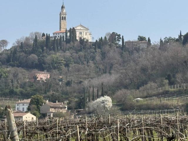 Villa in vendita a Colognola Ai Colli VR