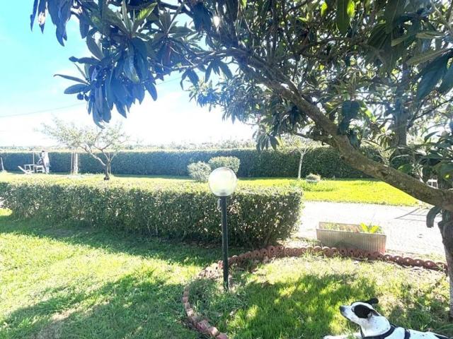 Villa in vendita a Collesalvetti LI