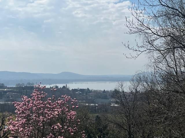 Villa in vendita a Comerio VA