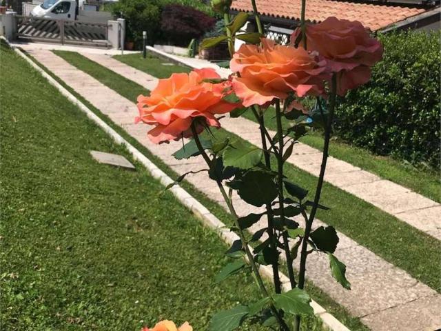 Villa in vendita a Conegliano TV