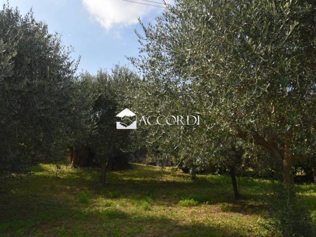 Villa in vendita a Conegliano TV