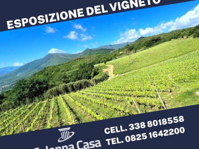 Villa in vendita a Contrada AV