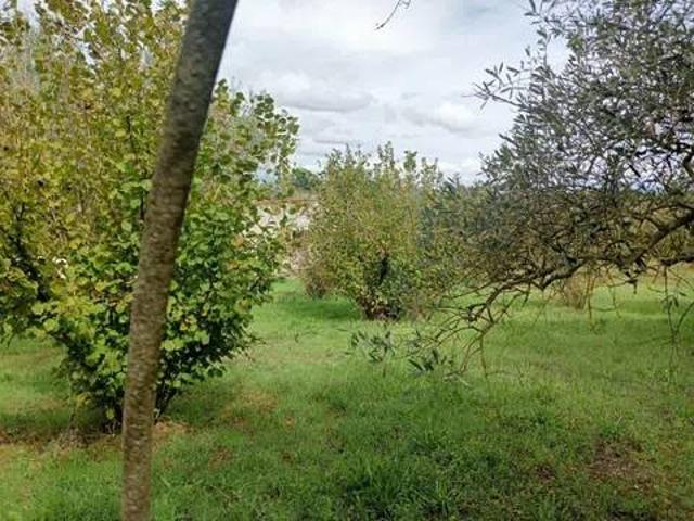 Villa in vendita a Corchiano VT