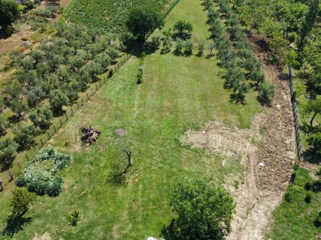 Villa in vendita a Coriano RN