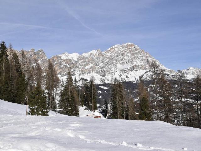 Villa in vendita a Cortina d'Ampezzo BL