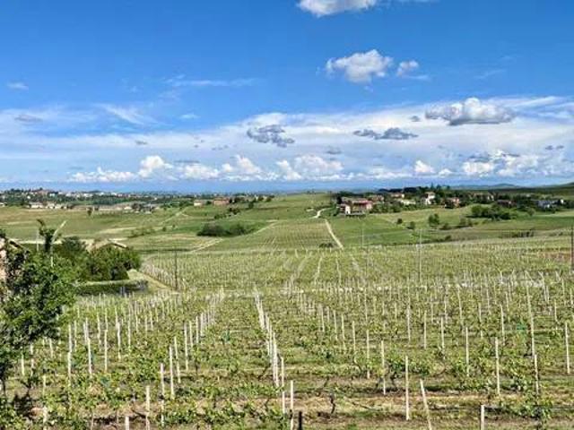Villa in vendita a Costigliole d'Asti AT