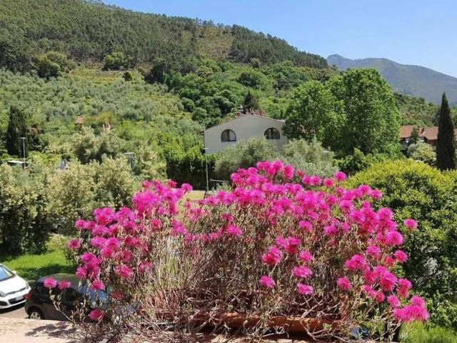 Villa in vendita a Calci PI