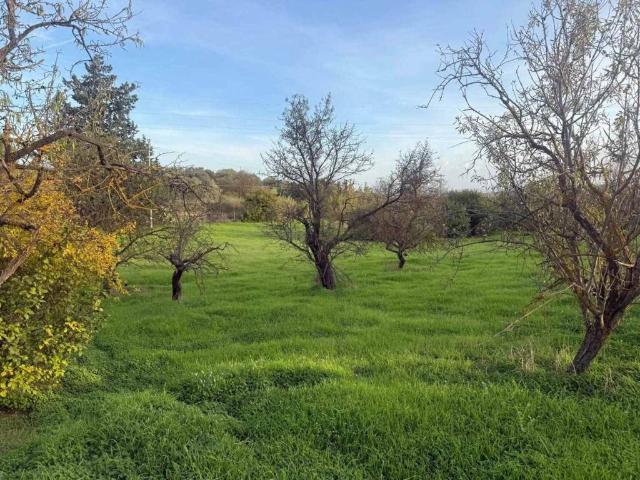 Villa in vendita a Caltanissetta CL